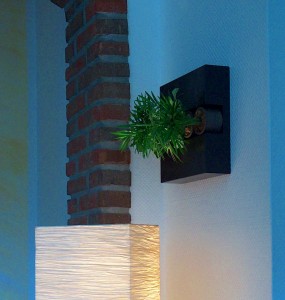 Hingucker, Echte Blumen an der Wand. Die FlowerBox image-1535