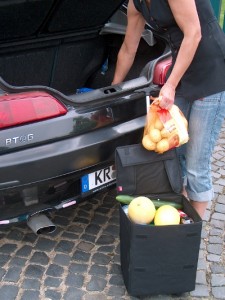 Einkaufstrolley Hutch mit Teleskopgriff Tragegriff