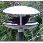 Blomus Vogeltränke