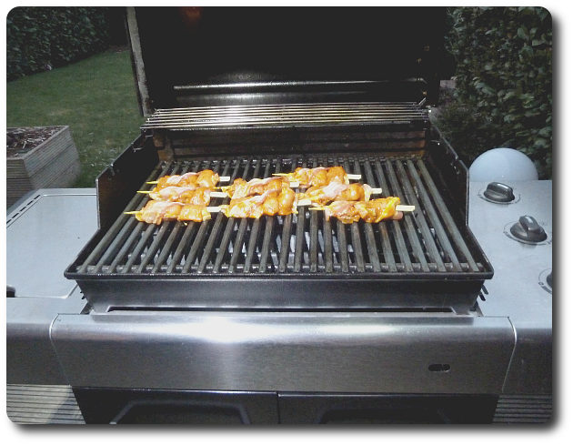 Fischspiesse Weber Grill