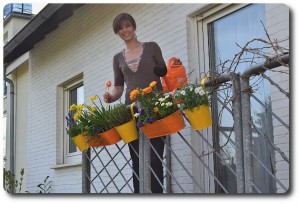 Balkonhängetöpfe aus der Tchibo Garten Themenwelt image-5300